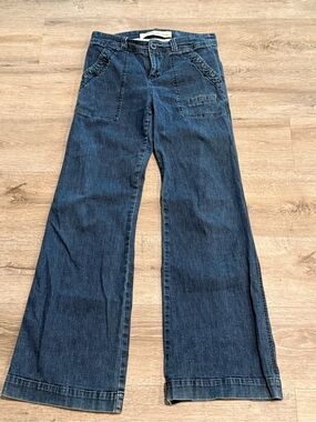 Anthropologie Daughters of the Liberation Blue Flare “Soft” WIDE Leg Jeans